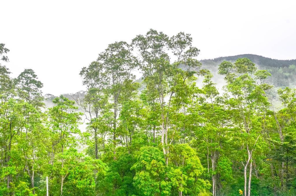 Hanthana Holiday Rooms Kandy Dış mekan fotoğraf