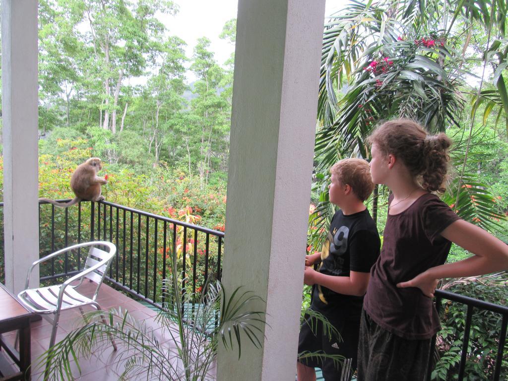 Hanthana Holiday Rooms Kandy Dış mekan fotoğraf